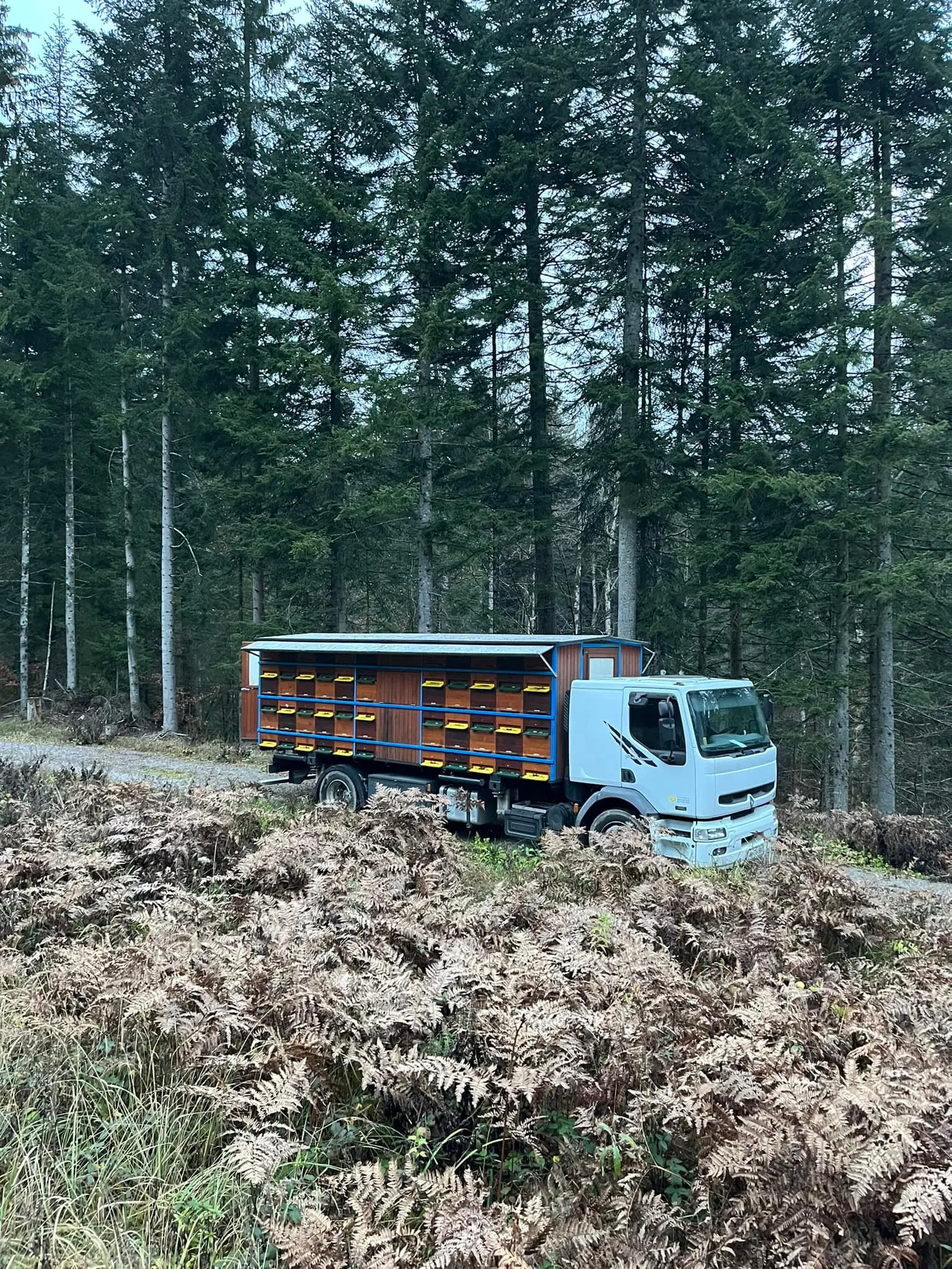 Prevozno čebelarstvo 6